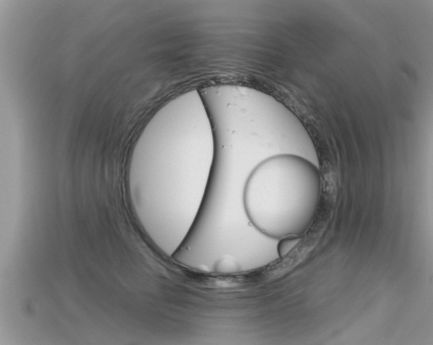 X0000115680662200911120948