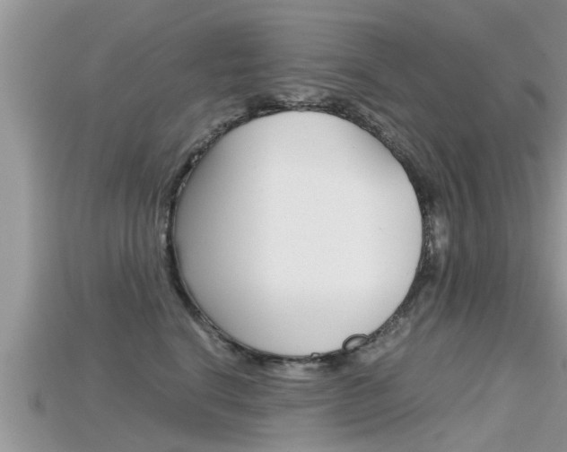 X0000115680664200911120948