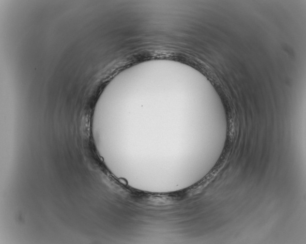 X0000115680666200911120948