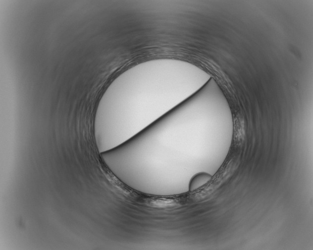X0000115680669200911120948