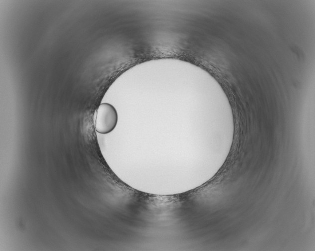 X0000115680672200911120948