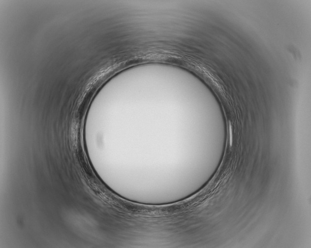 X0000115680675200911120947