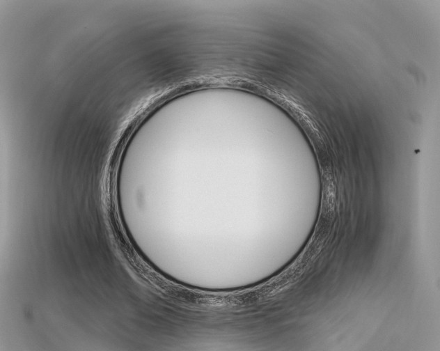X0000115680678200911120947
