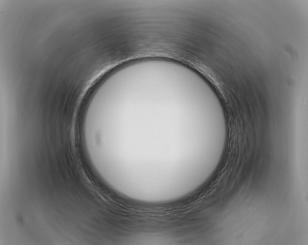 X0000115680680200911120947