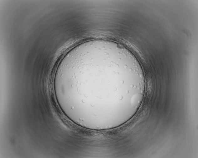 X0000115680682200911120947