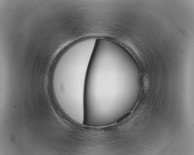 X0000115680684200911120947