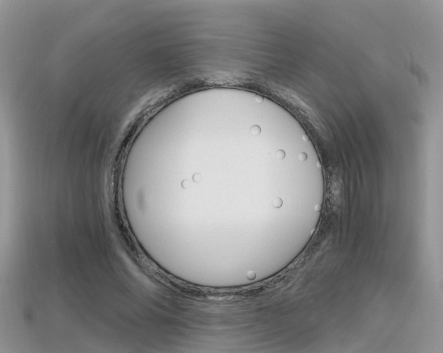 X0000115680686200911120947