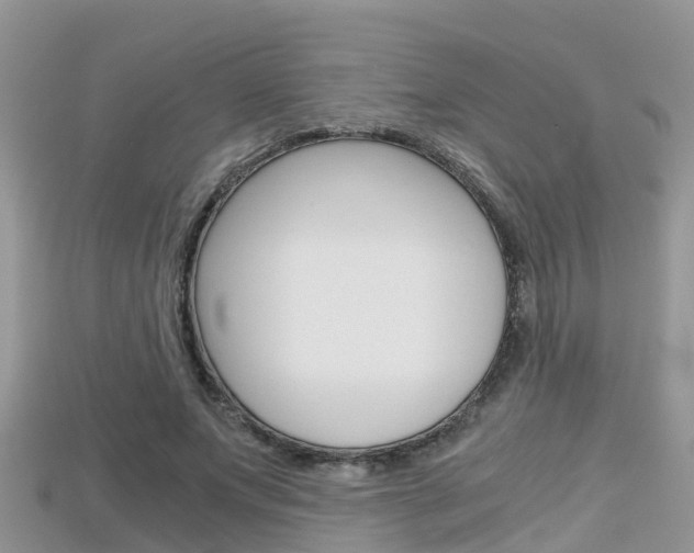 X0000115680687200911120947
