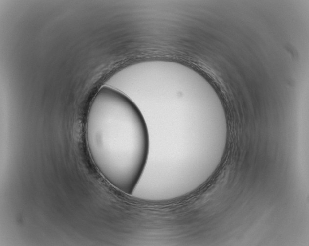 X0000115680689200911120947