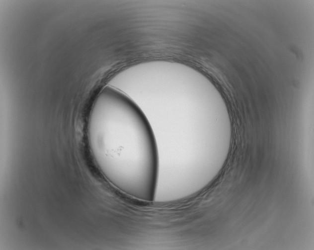 X0000115680693200911120947