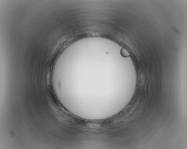X0000115680694200911120947