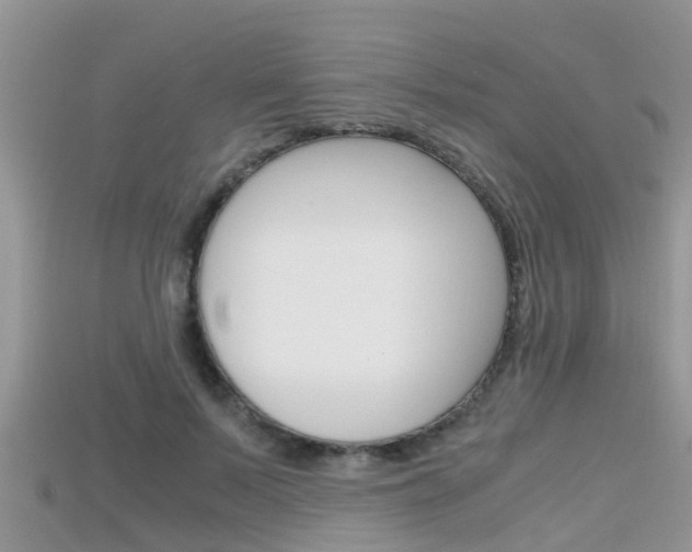 X0000115680695200911120947