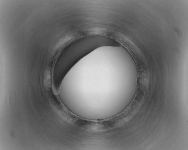 X0000115680696200911120947