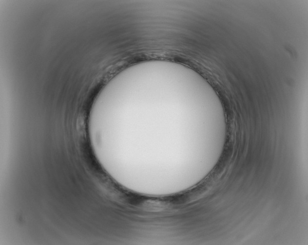 X0000115680699200911120947