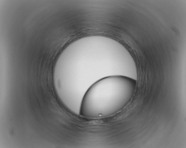 X0000115680700200911120947