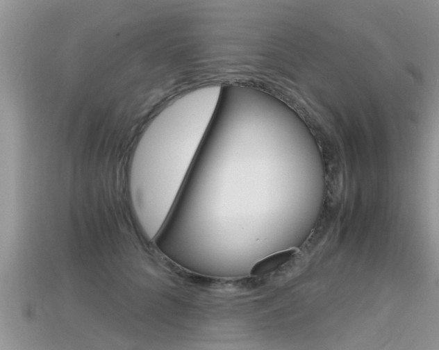 X0000115680704200911120947