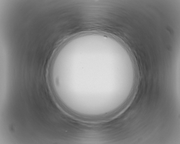 X0000115680705200911120947