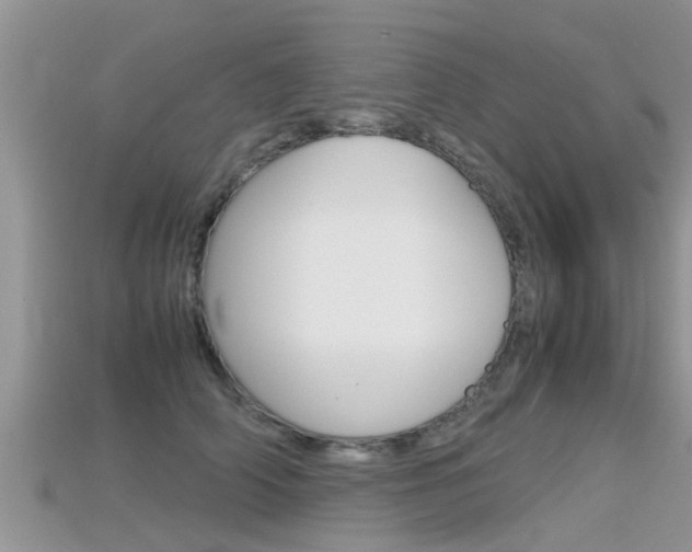 X0000115680706200911120947