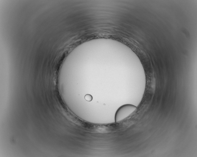 X0000115680710200911120947