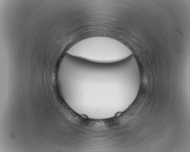 X0000115680715200911120947