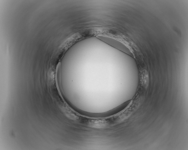 X0000115680716200911120947