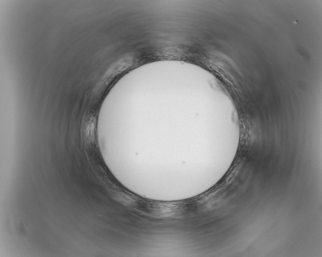 X0000115680717200911120947