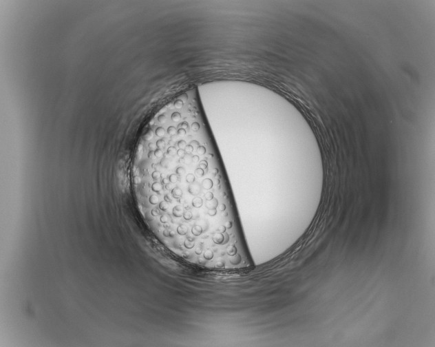 X0000115680719200911120947