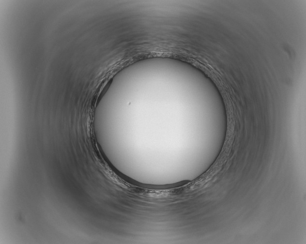 X0000115680720200911120947