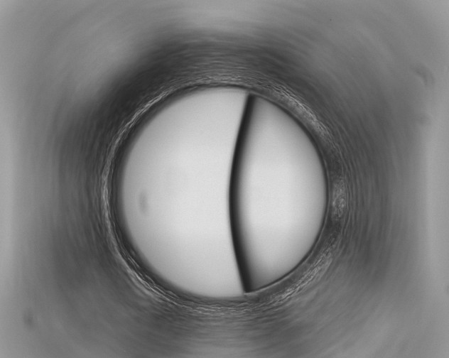 X0000115680722200911120946