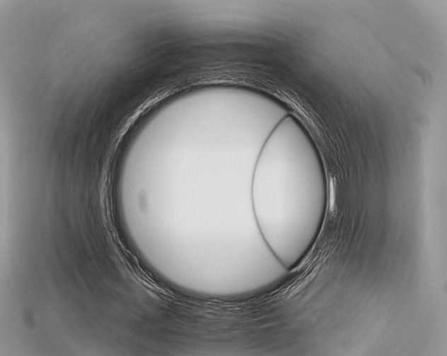 X0000115680723200911120946