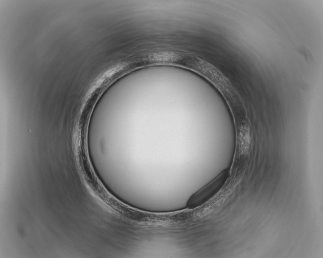 X0000115680726200911120946