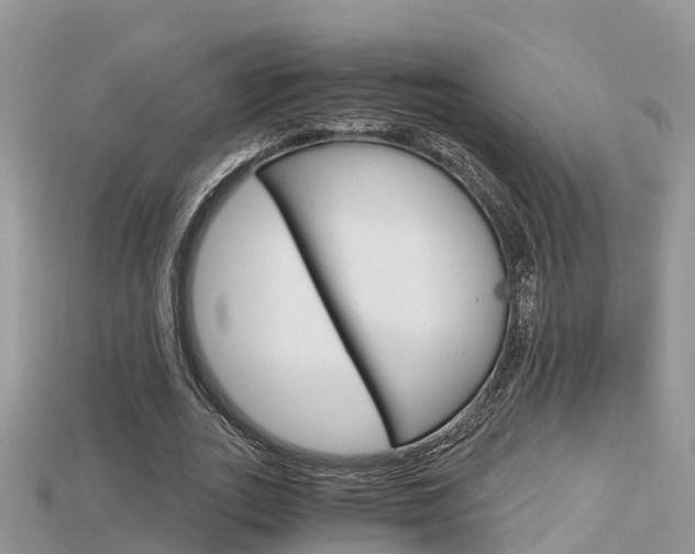 X0000115680727200911120946