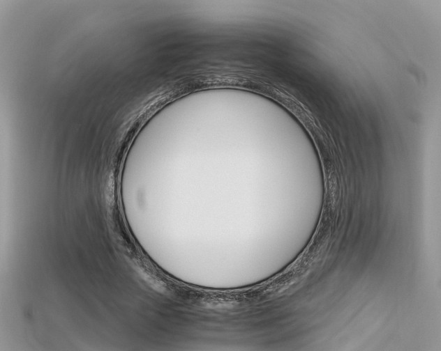 X0000115680729200911120946