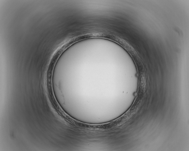 X0000115680730200911120946