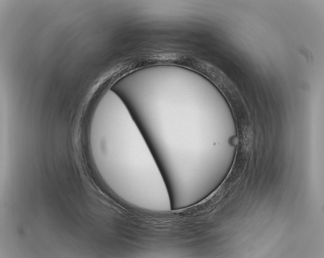 X0000115680731200911120946