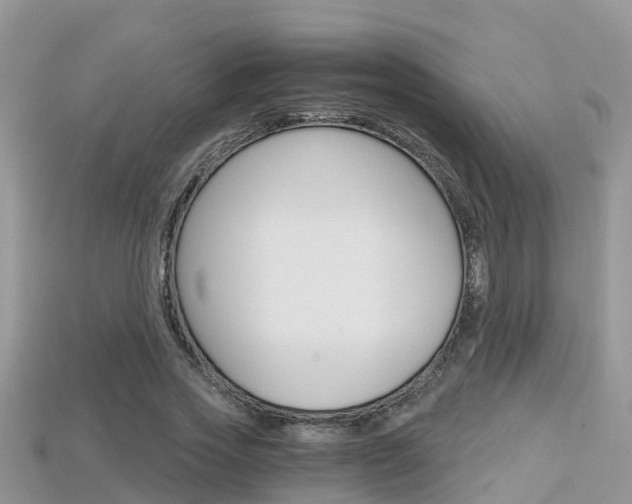 X0000115680733200911120946
