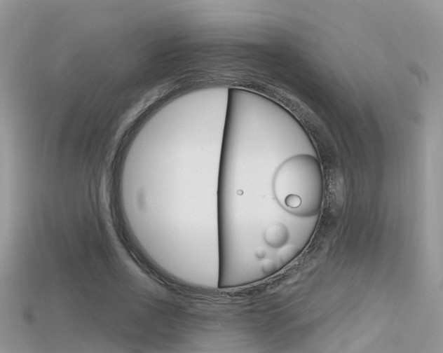 X0000115680734200911120946