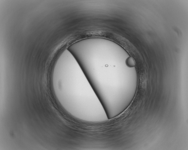 X0000115680735200911120946