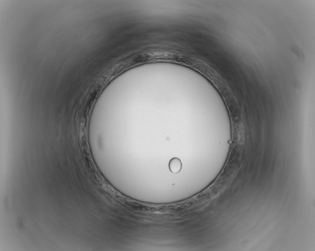 X0000115680737200911120946