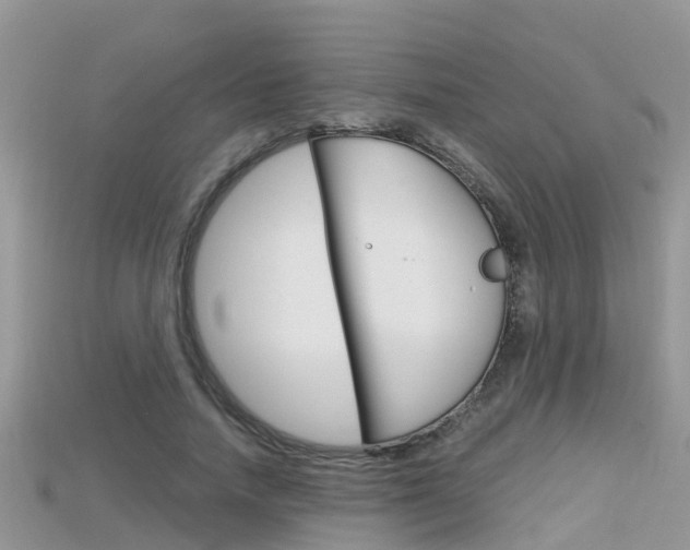 X0000115680738200911120947