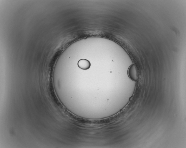 X0000115680739200911120947