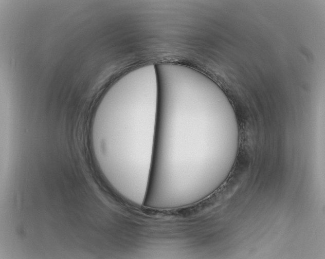 X0000115680742200911120947