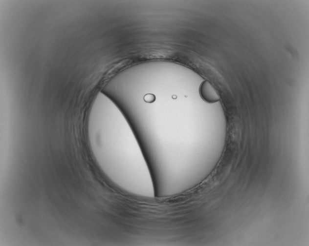 X0000115680743200911120947