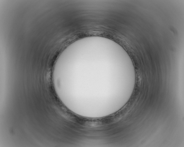 X0000115680745200911120947