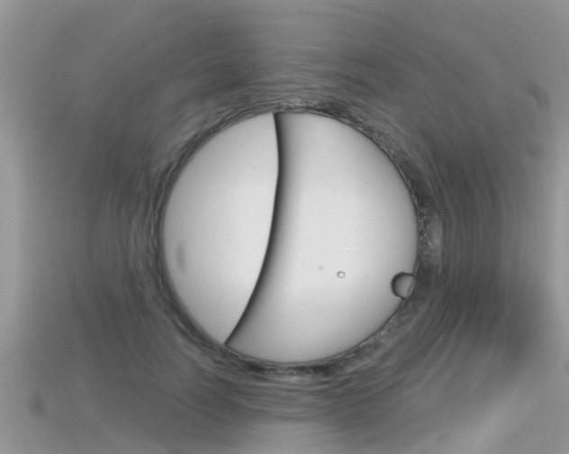 X0000115680746200911120947