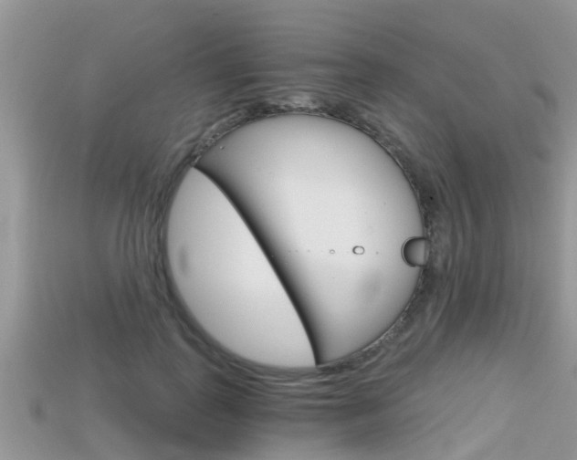 X0000115680747200911120947