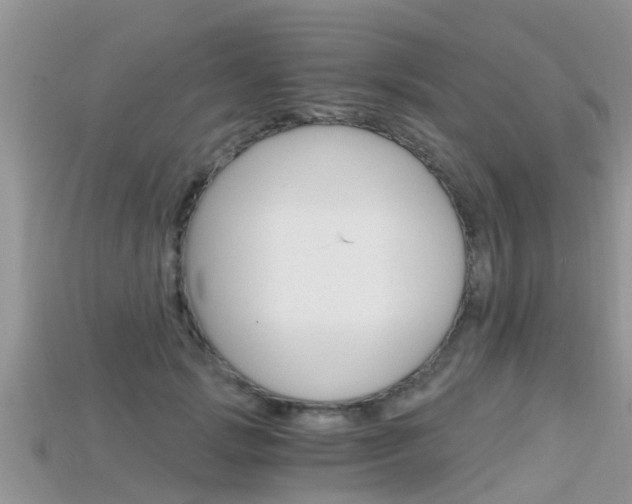 X0000115680749200911120947