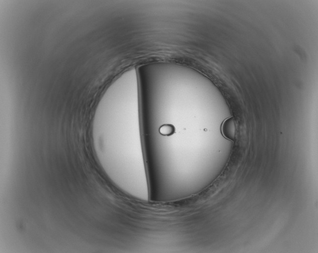 X0000115680750200911120947