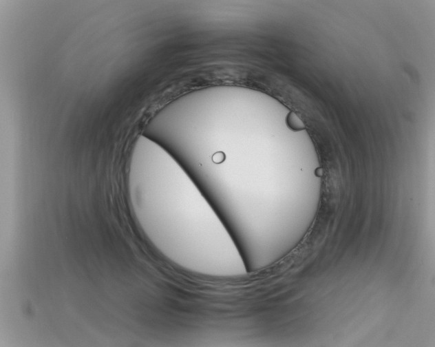 X0000115680751200911120947