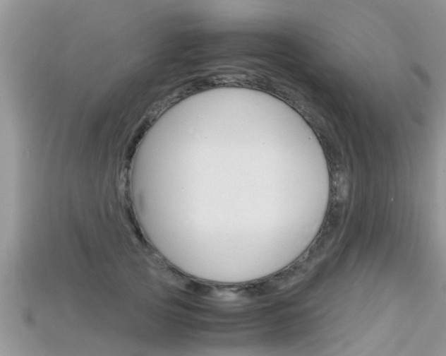 X0000115680753200911120947
